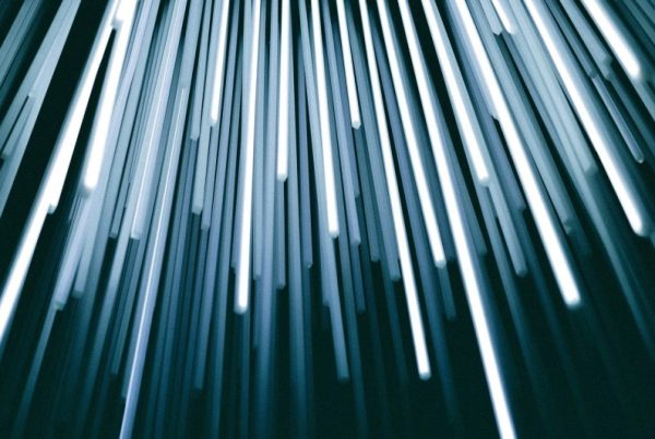 zoomed in image of specialty fibers